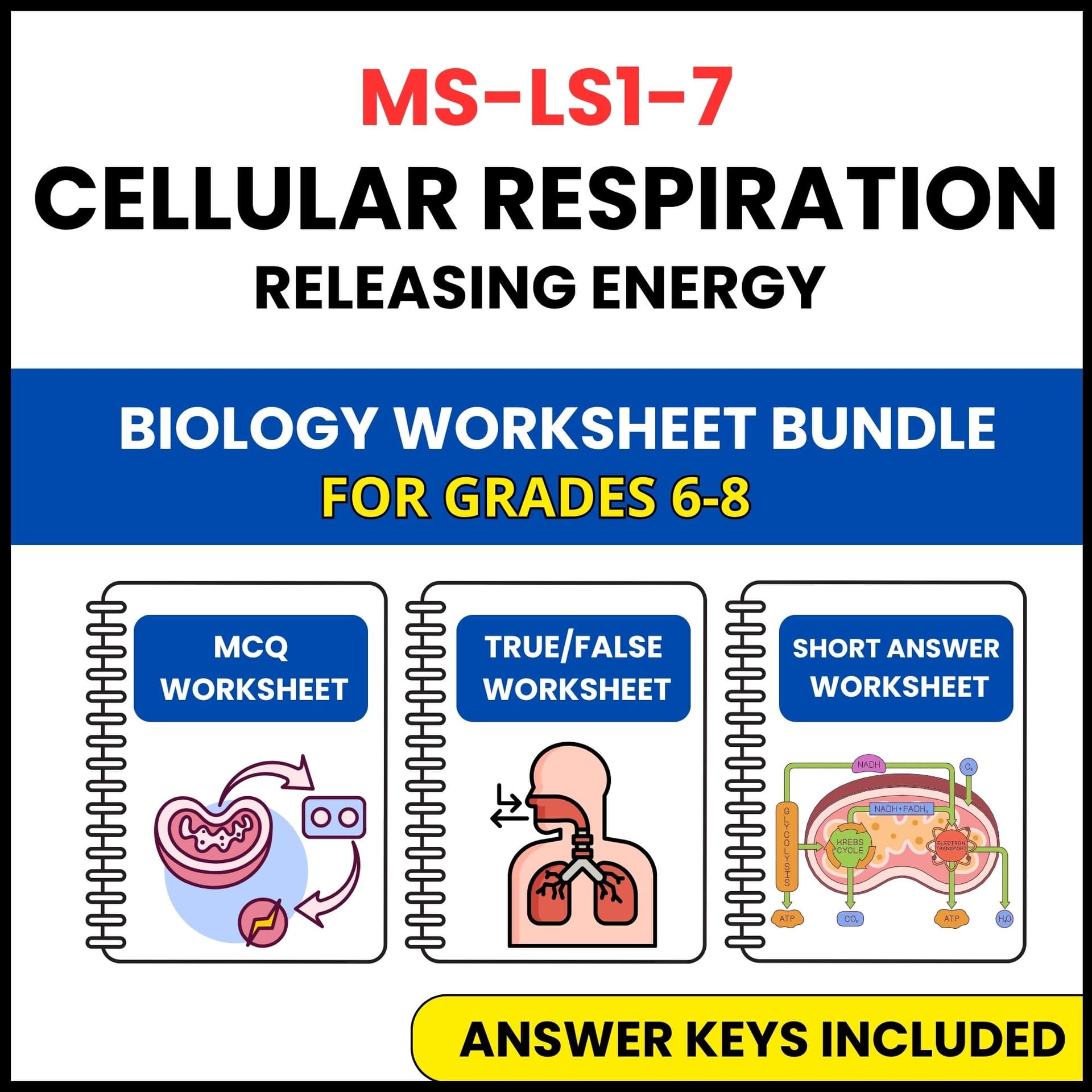 MS NGSS Biology | Cellular Respiration | 3 Worksheets | Grade 6-8 MS NGSS Biology | Cellular Respiration | 3 Worksheets | Grade 6-8 — printable worksheet preview
