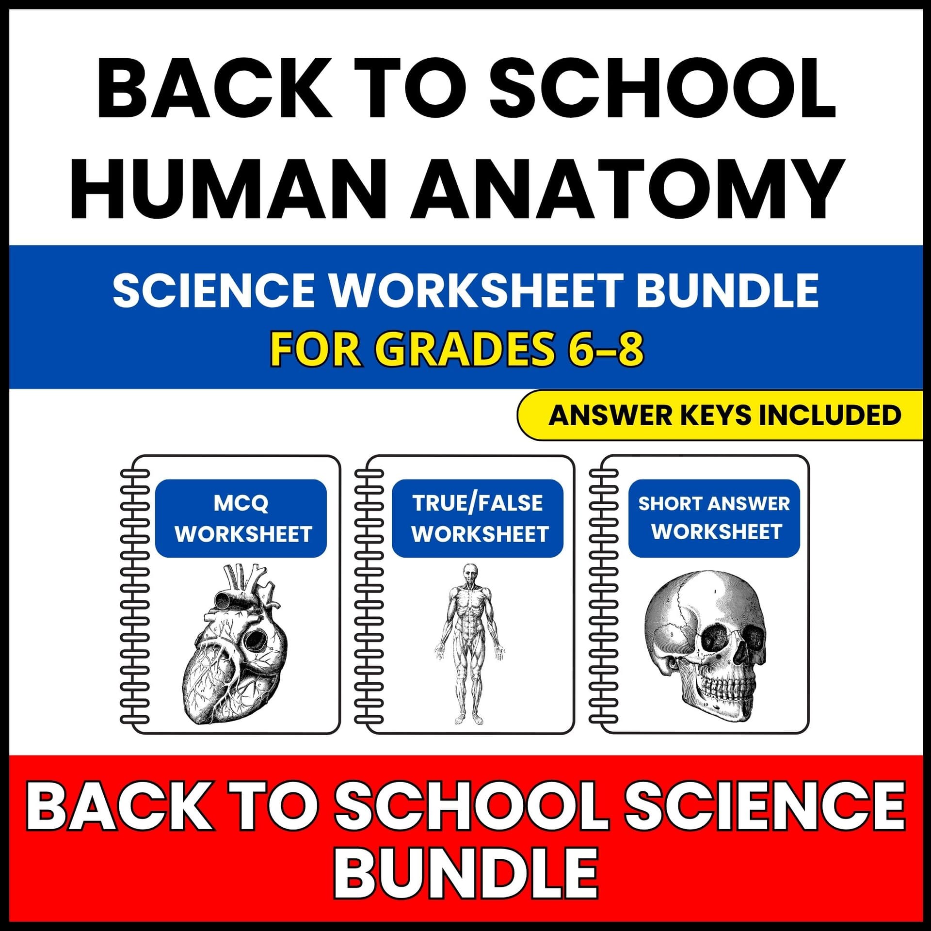 Back to School | Human Anatomy Mega Pack | 30 Worksheets BUNDLE | Grade 6-8 Back to School | Human Anatomy Mega Pack | 30 Worksheets BUNDLE | Grade 6-8 — printable worksheet preview