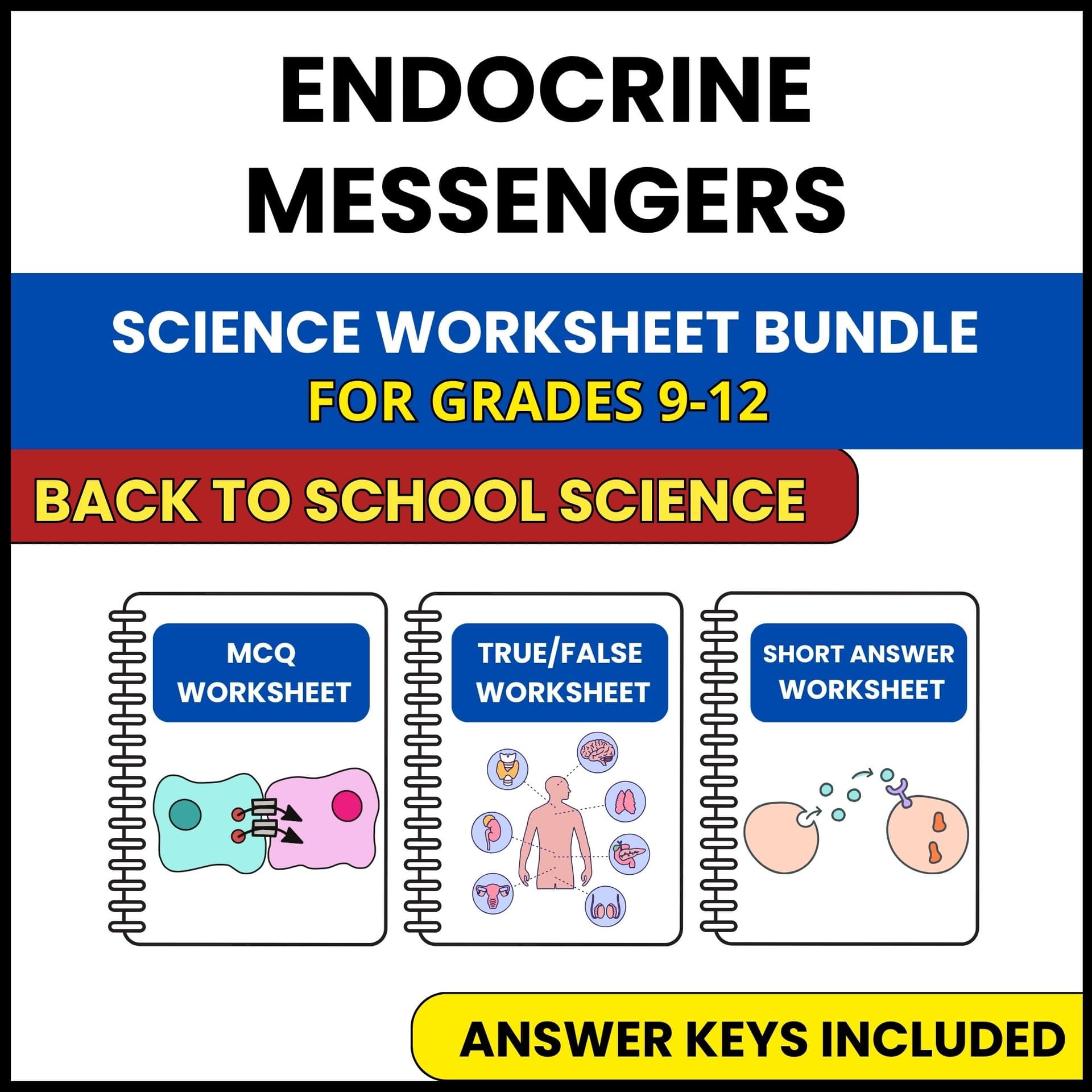 Back to School | Endocrine Messengers | 3 Worksheets | Grade 9-12 Back to School | Endocrine Messengers | 3 Worksheets | Grade 9-12 — printable worksheet preview